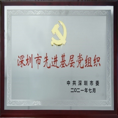 百年華誕，喜獲殊榮——國微電子黨總支榮獲“深圳市先進(jìn)基層黨組織”稱號